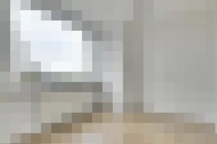 Terborch 16 Monster thumbnail 9