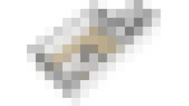 Terborch 18 Monster thumbnail 12