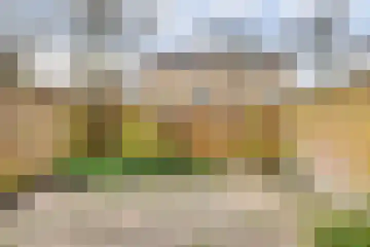Terborch 18 Monster thumbnail 20
