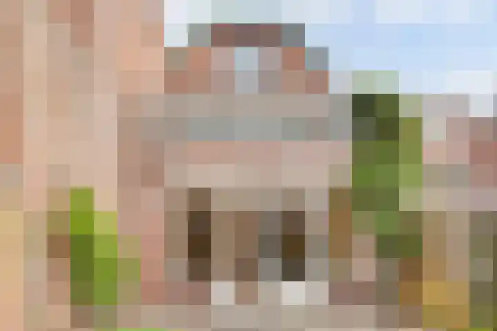 Terborch 18 Monster thumbnail 22