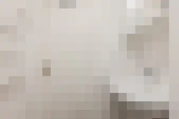 Terborch 18 Monster thumbnail 23