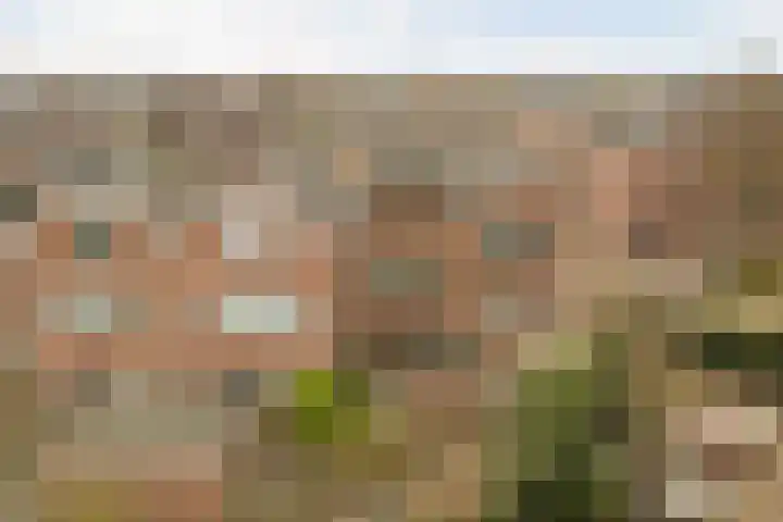 Terborch 18 Monster thumbnail 26