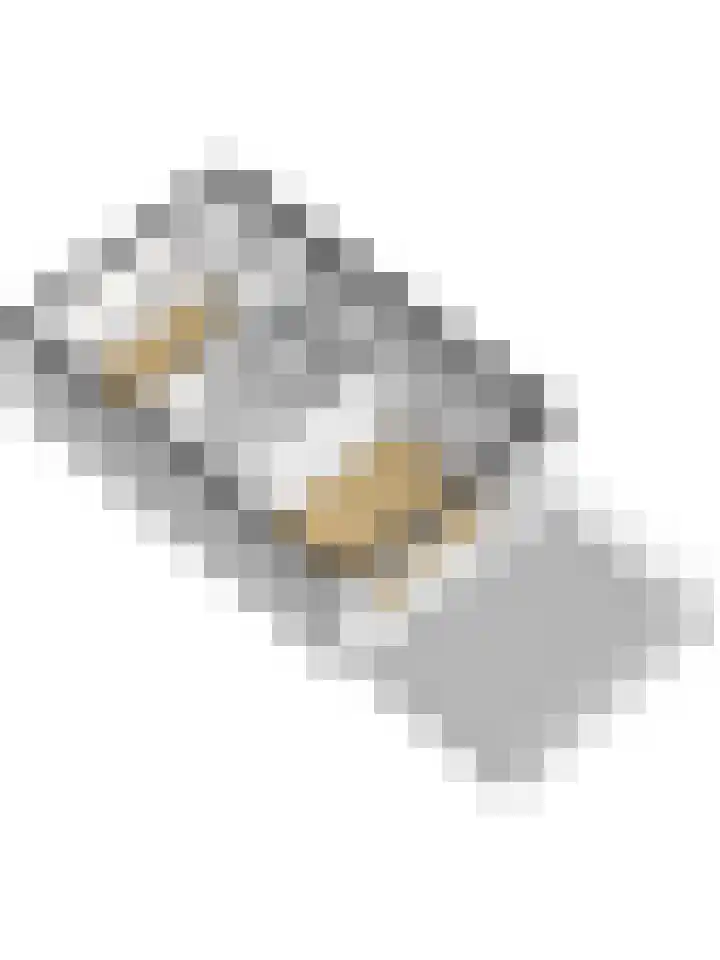 Terborch 18 Monster thumbnail 33