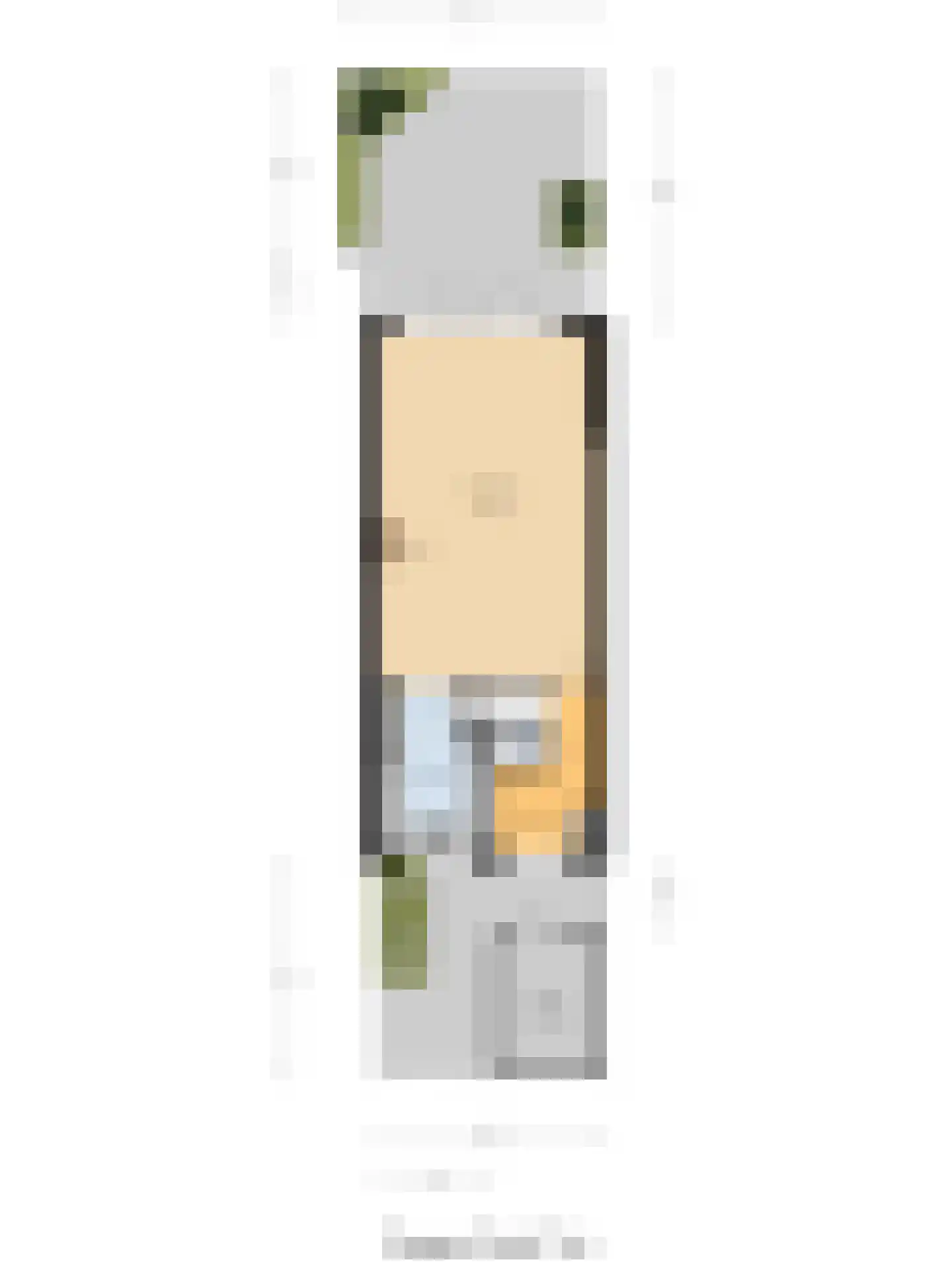 Terborch 18 Monster thumbnail 38