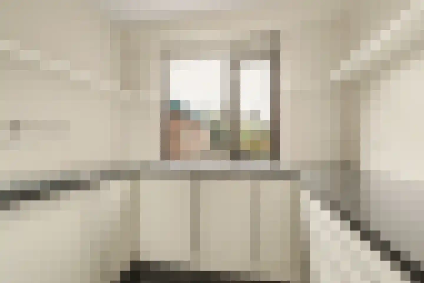 Terborch 18 Monster thumbnail 8