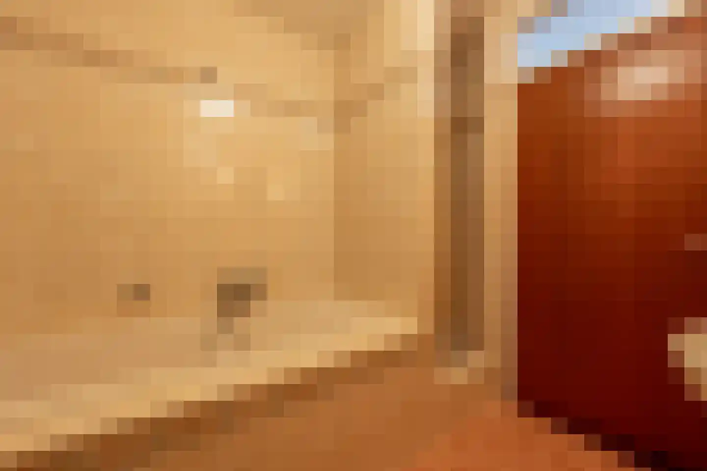 Terborchdreef 1 Oud-Beijerland thumbnail 25