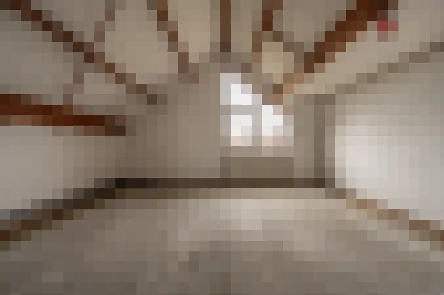 Terborchdreef 1 Oud-Beijerland thumbnail 34