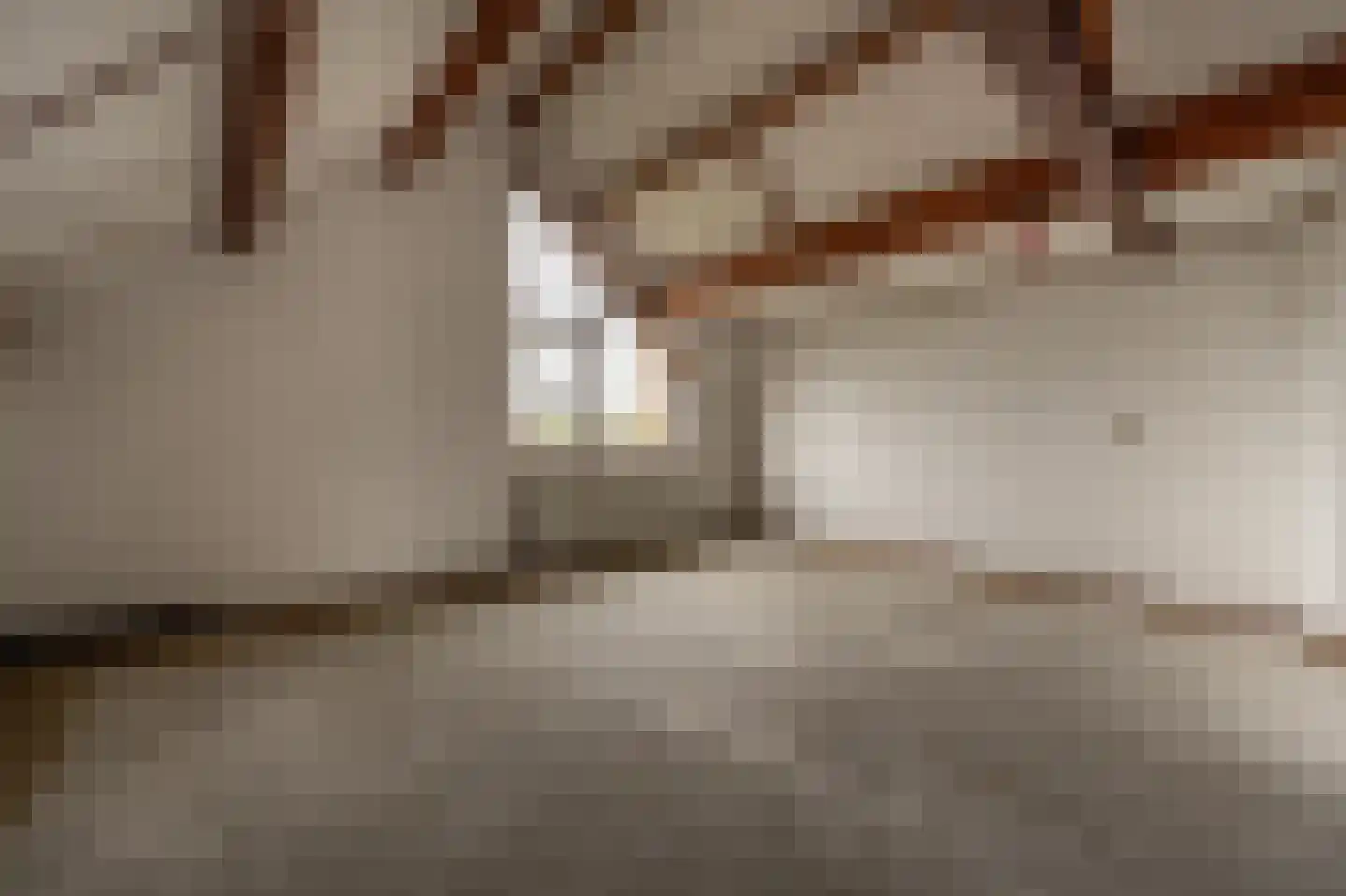 Terborchdreef 1 Oud-Beijerland thumbnail 35