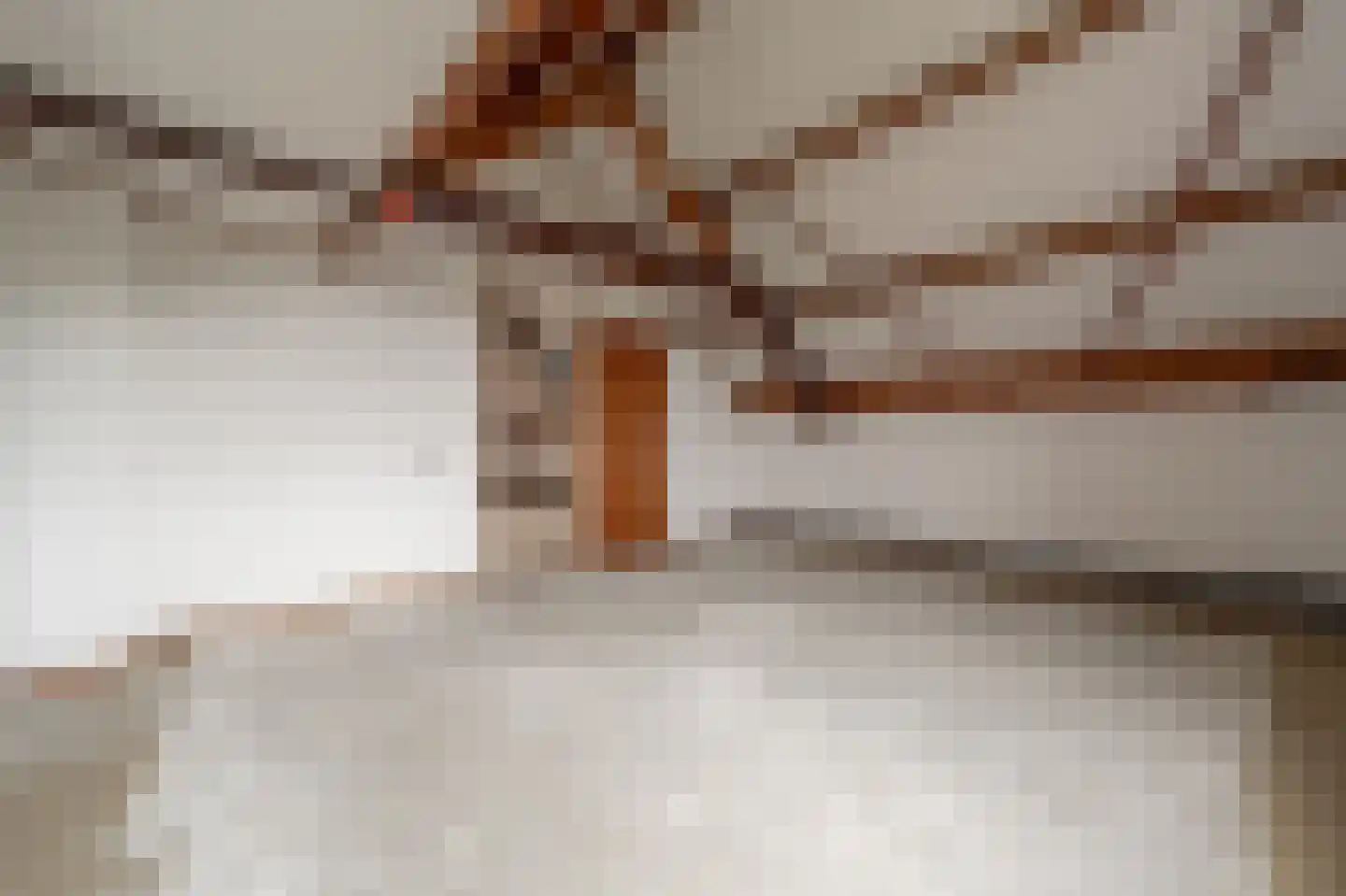 Terborchdreef 1 Oud-Beijerland thumbnail 37