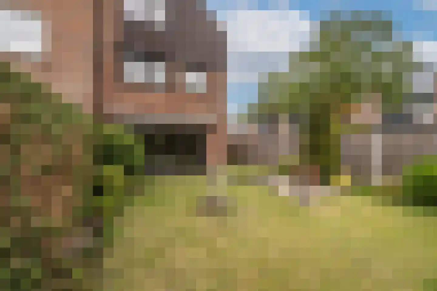 Terborchdreef 1 Oud-Beijerland thumbnail 39