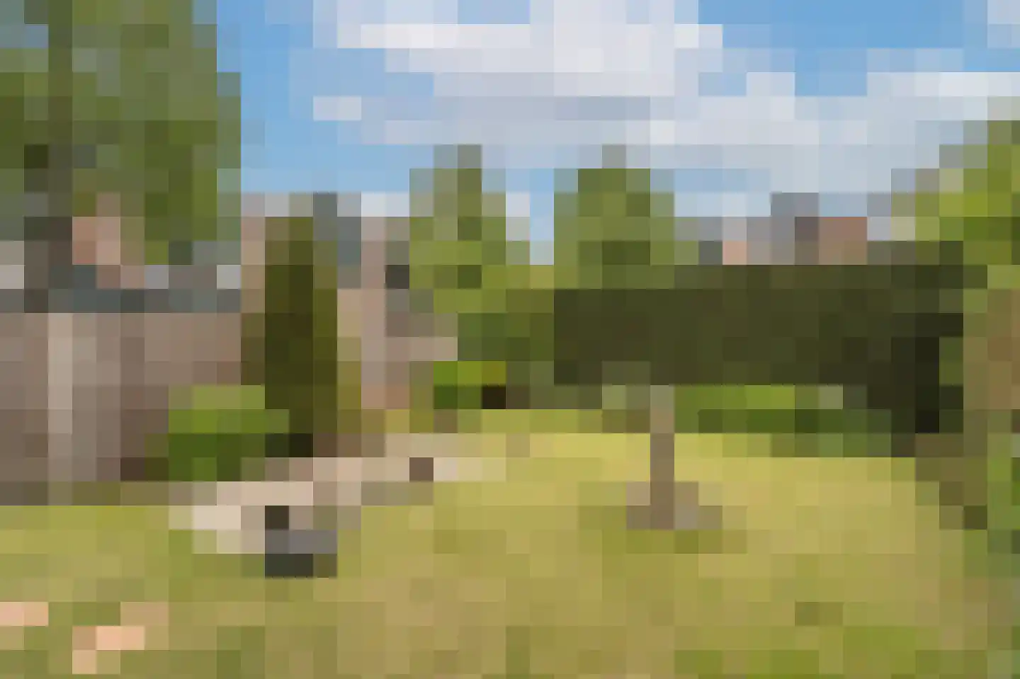 Terborchdreef 1 Oud-Beijerland thumbnail 40