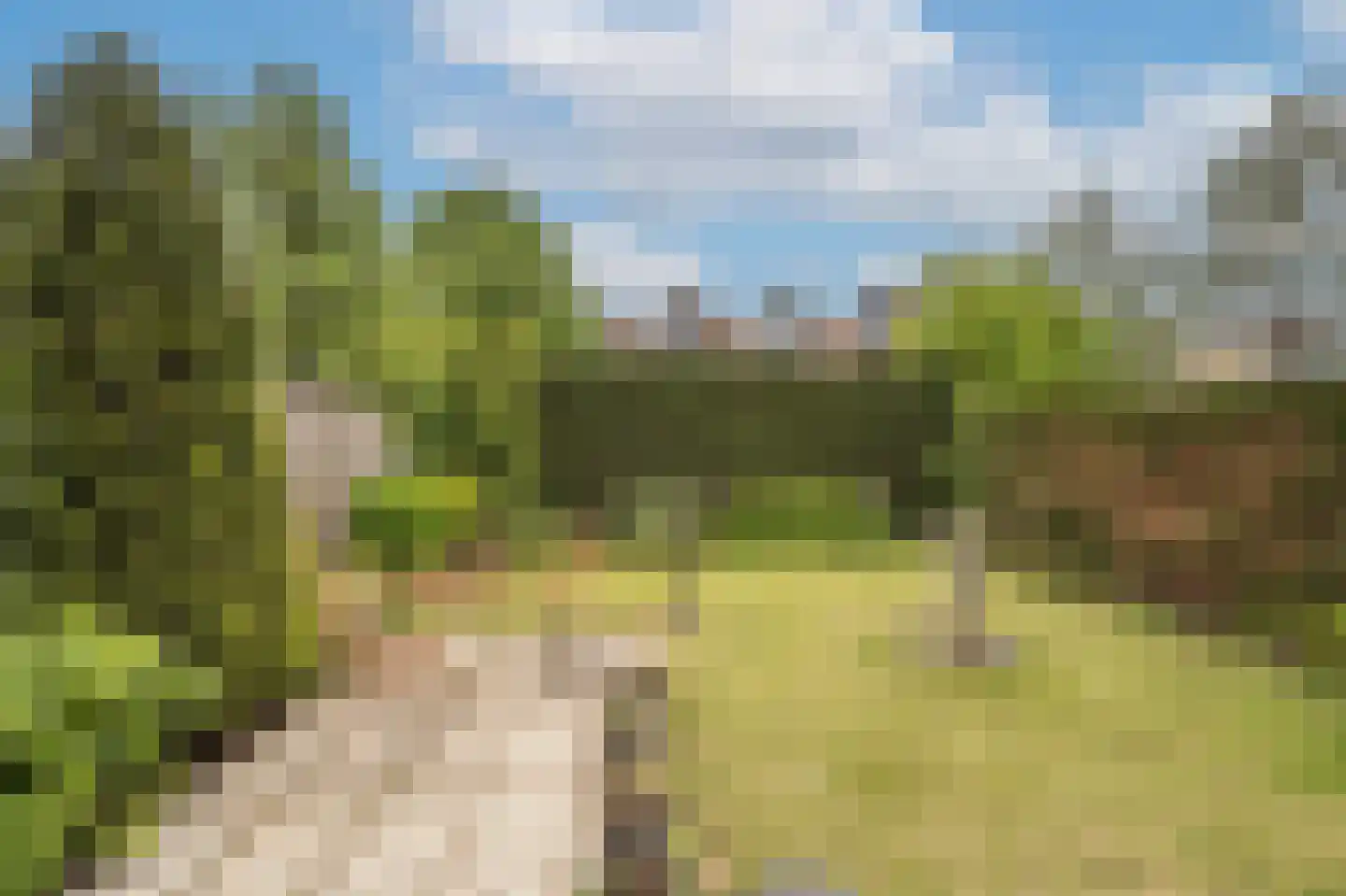 Terborchdreef 1 Oud-Beijerland thumbnail 41