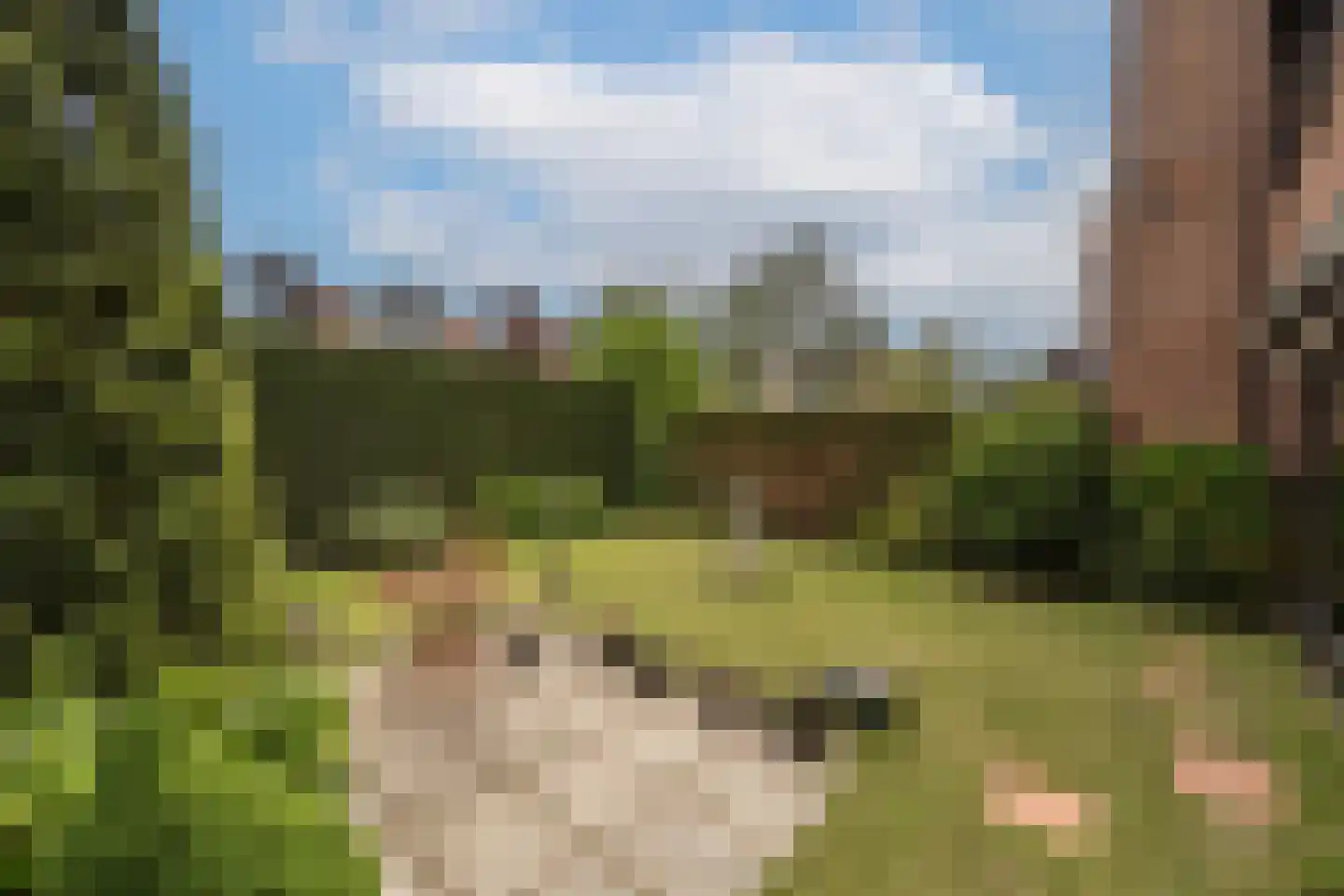 Terborchdreef 1 Oud-Beijerland thumbnail 42