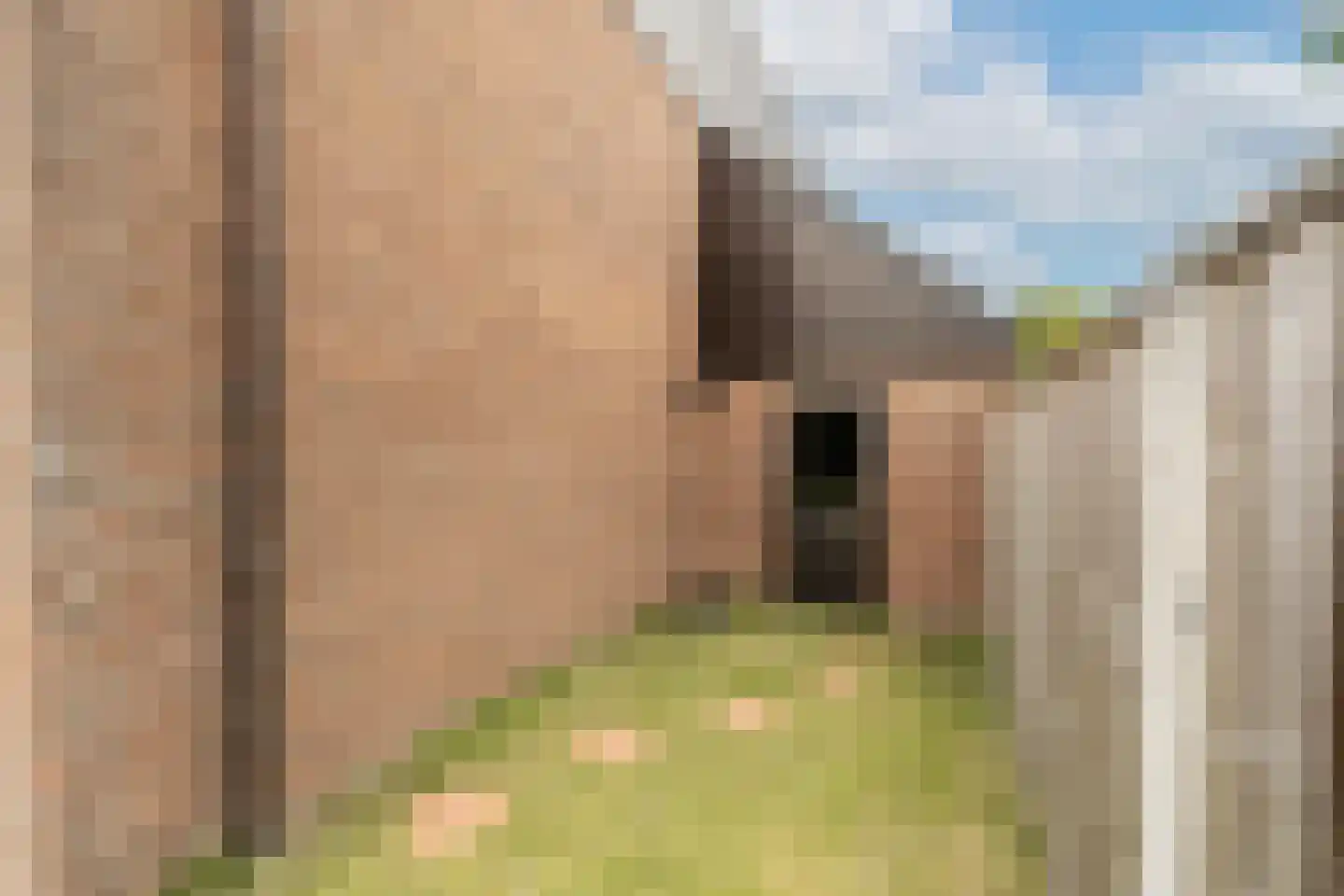 Terborchdreef 1 Oud-Beijerland thumbnail 43