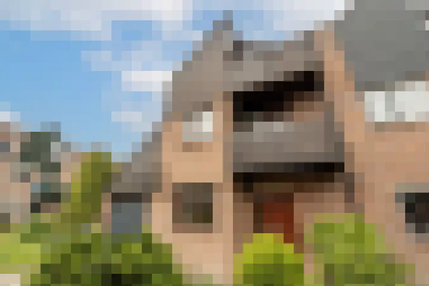 Terborchdreef 1 Oud-Beijerland thumbnail 45