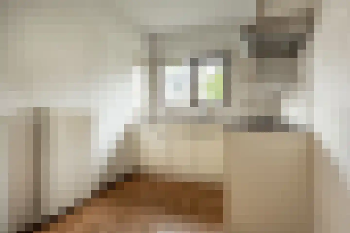 Terborchdreef 1 Oud-Beijerland thumbnail 6