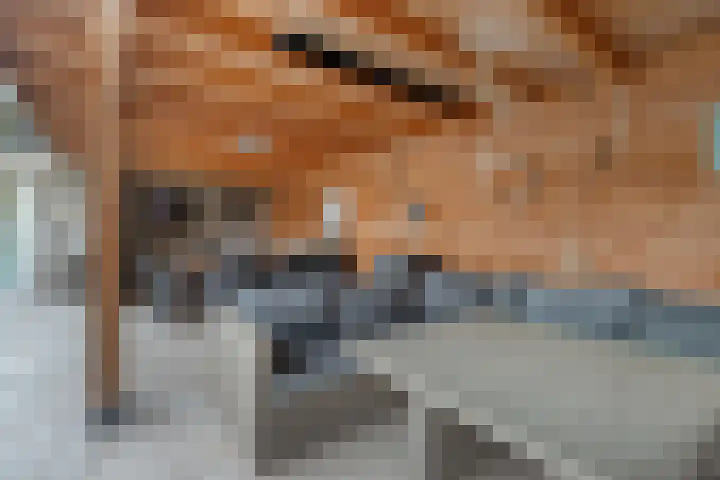 Terborchdreef 12 Oud-Beijerland thumbnail 33