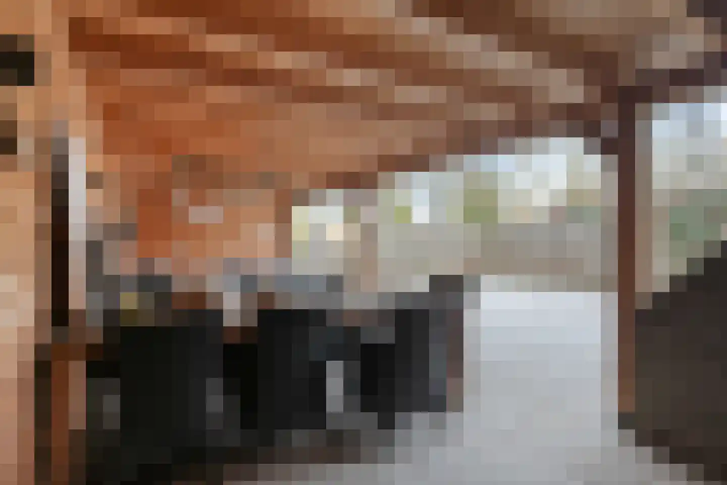 Terborchdreef 12 Oud-Beijerland thumbnail 34