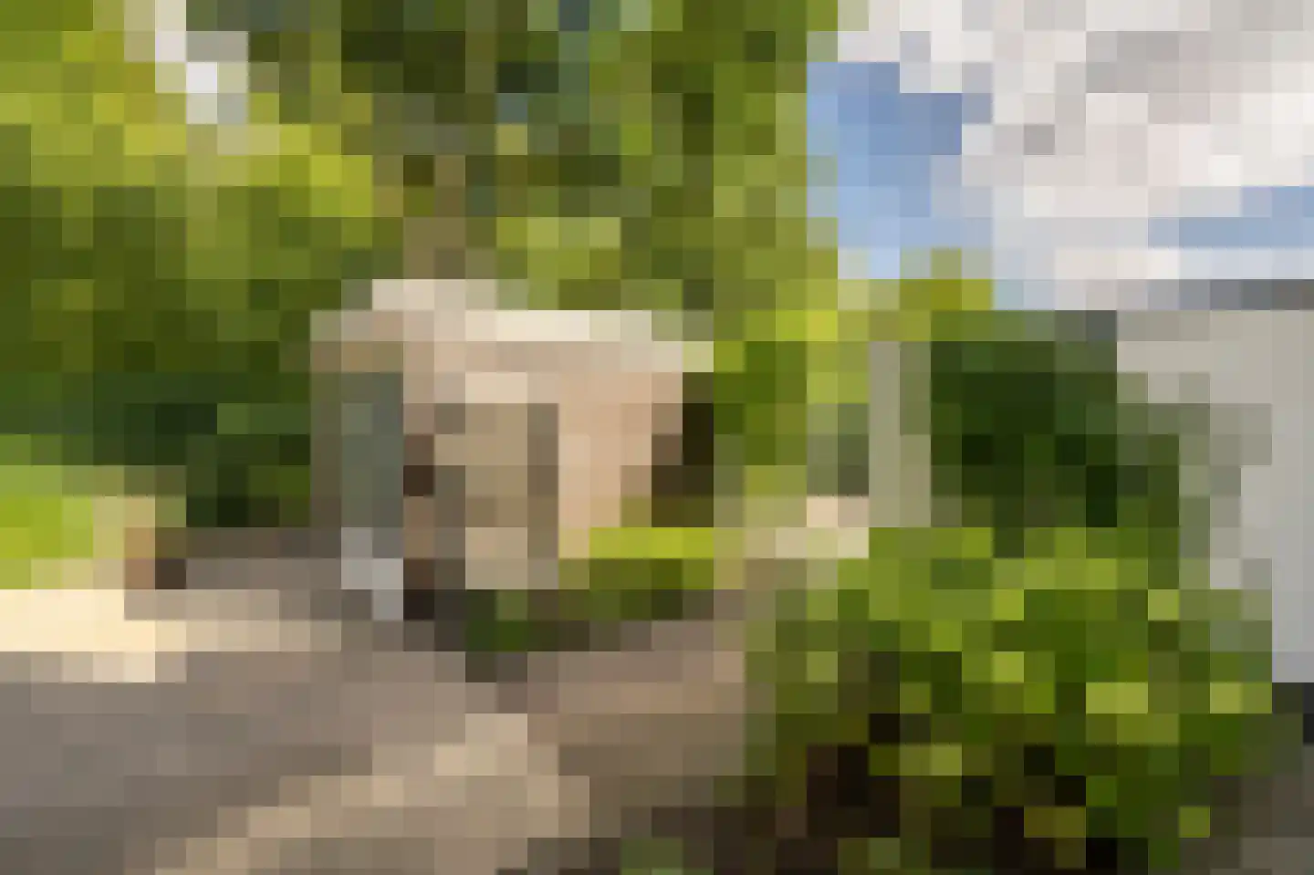 Terborchdreef 22 Oud-Beijerland thumbnail 47