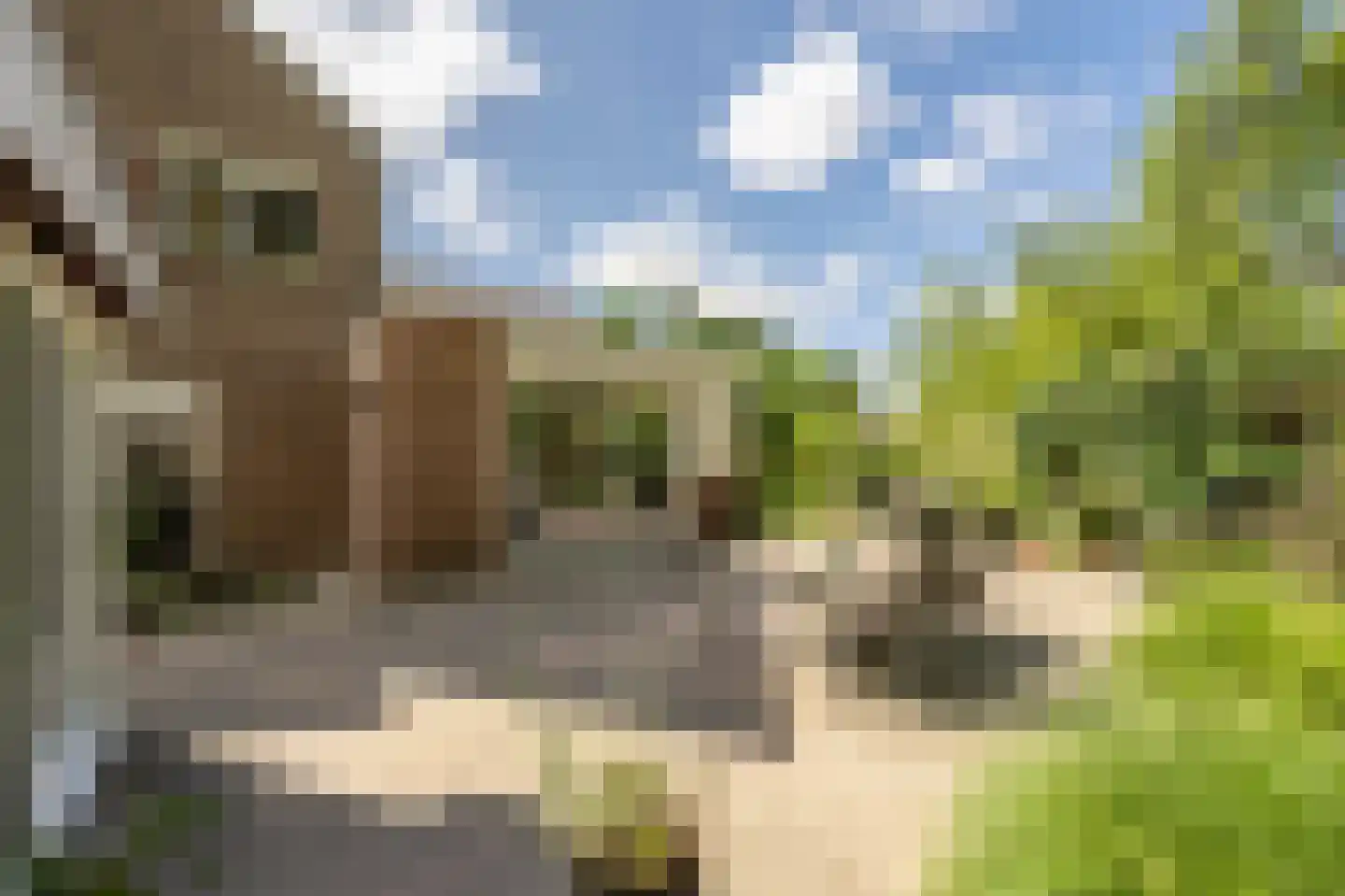 Terborchdreef 22 Oud-Beijerland thumbnail 49