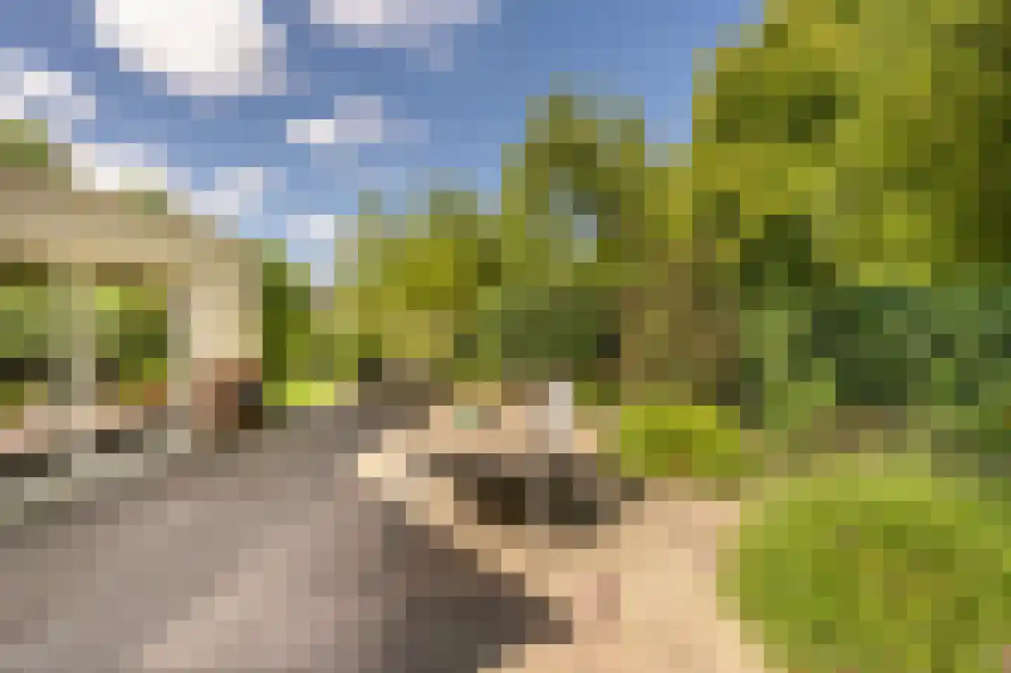Terborchdreef 22 Oud-Beijerland thumbnail 50