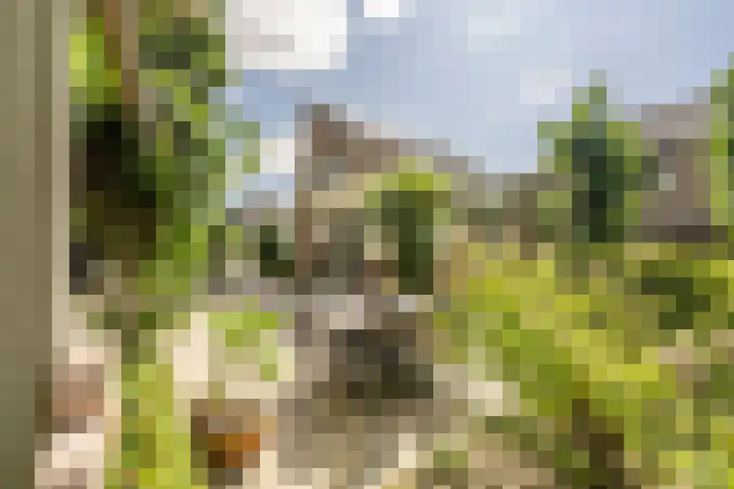 Terborchdreef 22 Oud-Beijerland thumbnail 51