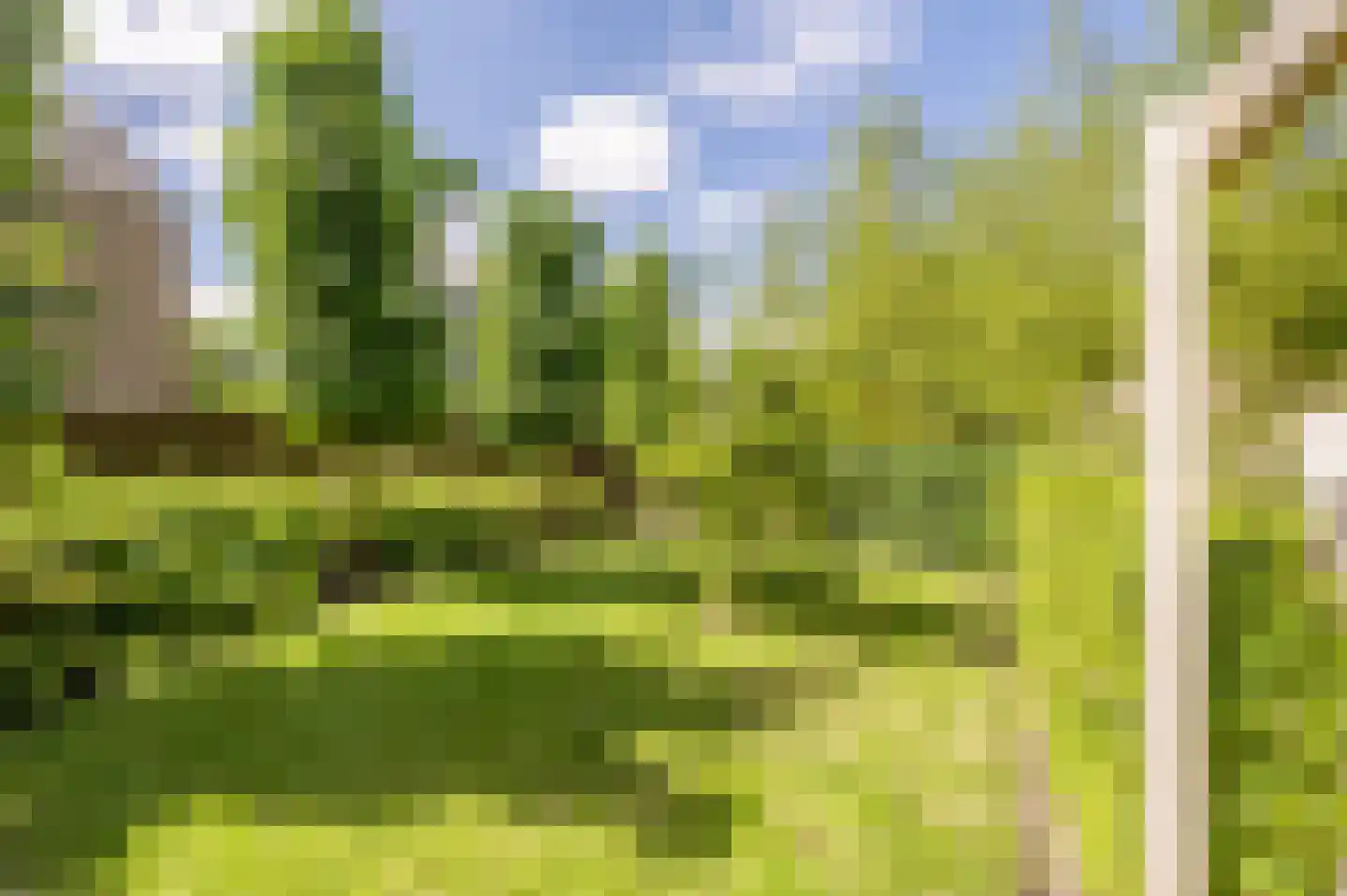 Terborchdreef 22 Oud-Beijerland thumbnail 52
