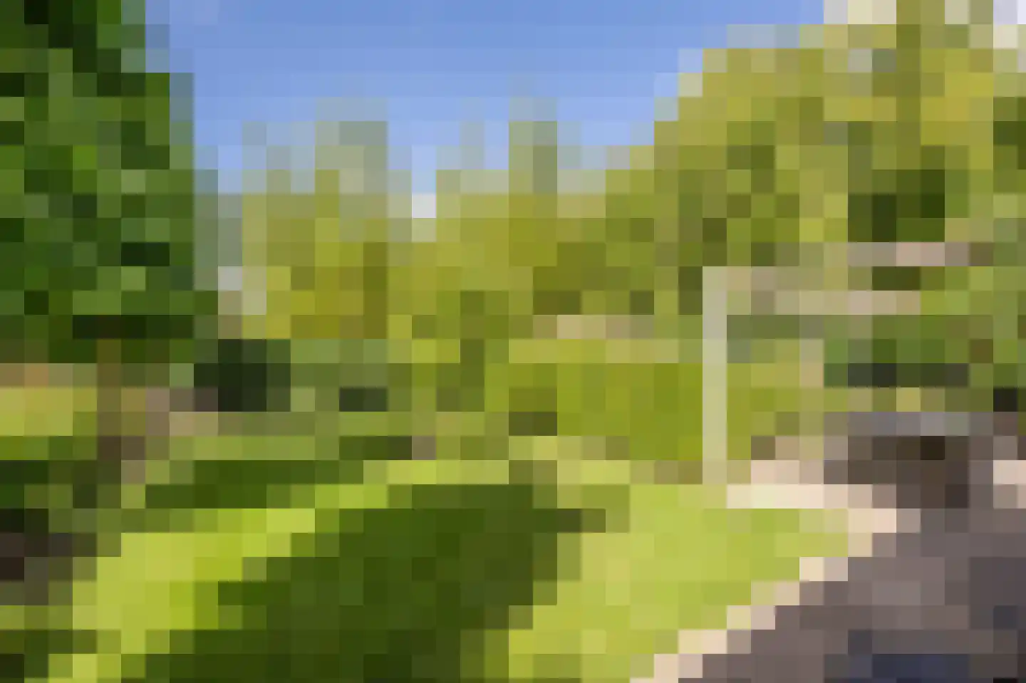 Terborchdreef 22 Oud-Beijerland thumbnail 53