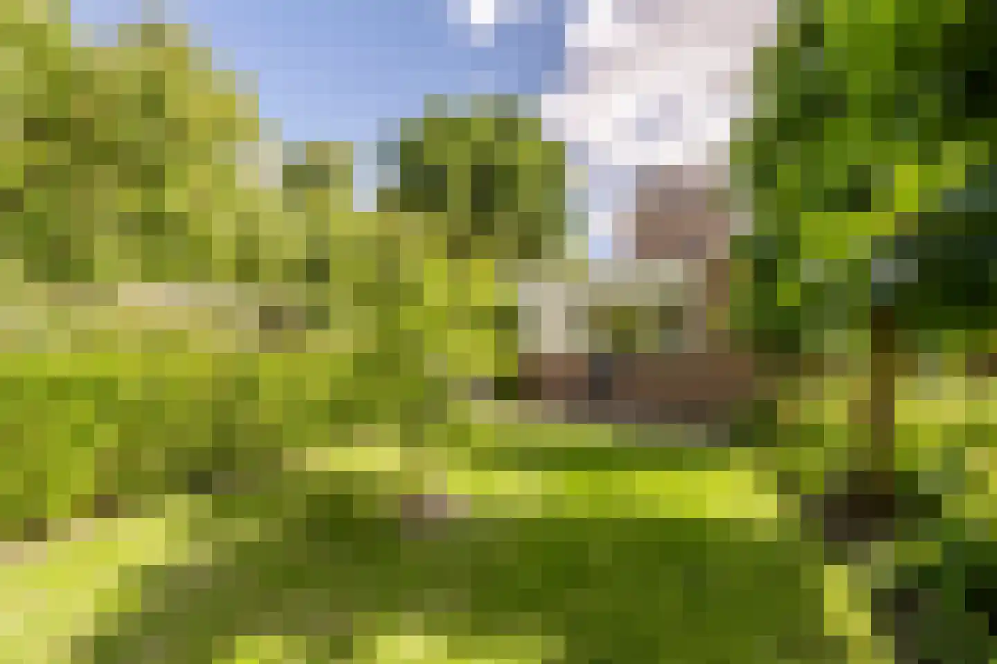 Terborchdreef 22 Oud-Beijerland thumbnail 54