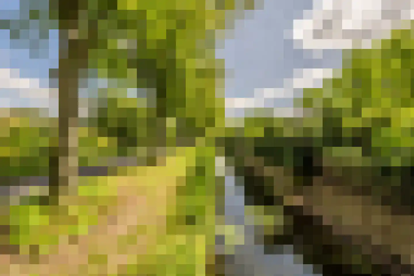 Terborchdreef 22 Oud-Beijerland thumbnail 55