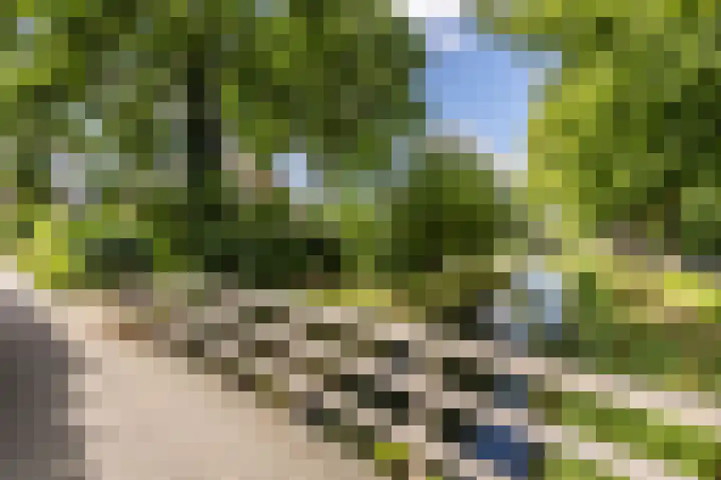 Terborchdreef 22 Oud-Beijerland thumbnail 56