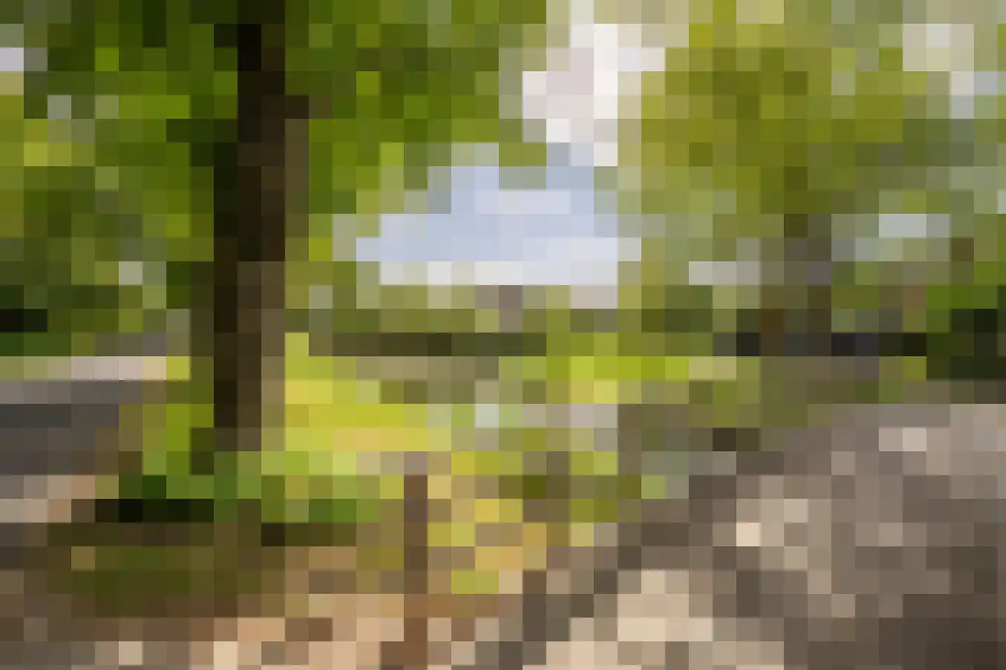 Terborchdreef 22 Oud-Beijerland thumbnail 57