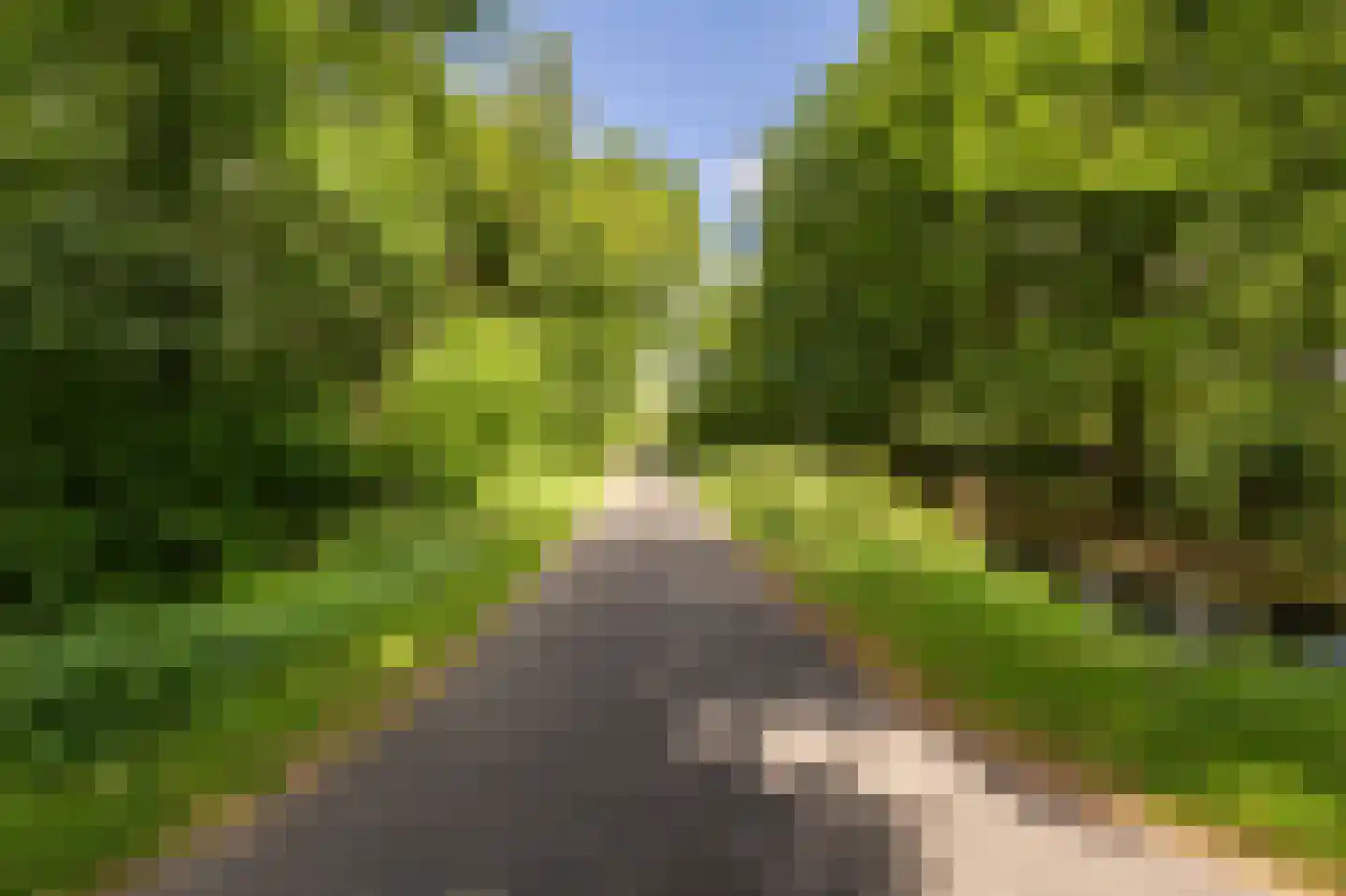 Terborchdreef 22 Oud-Beijerland thumbnail 58