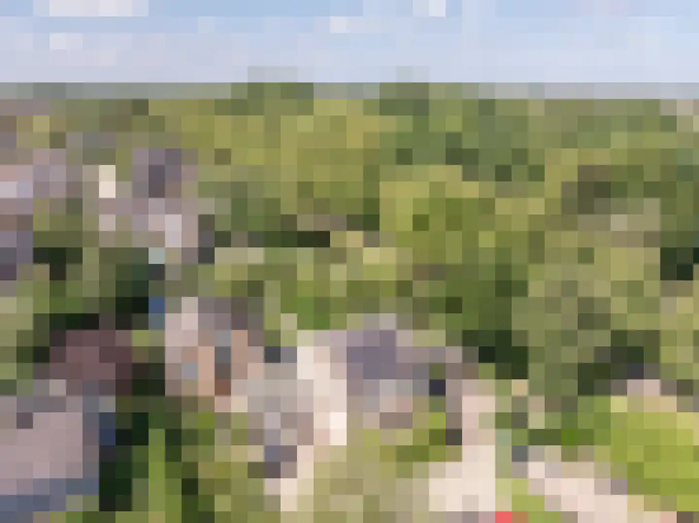 Terborchdreef 22 Oud-Beijerland thumbnail 60