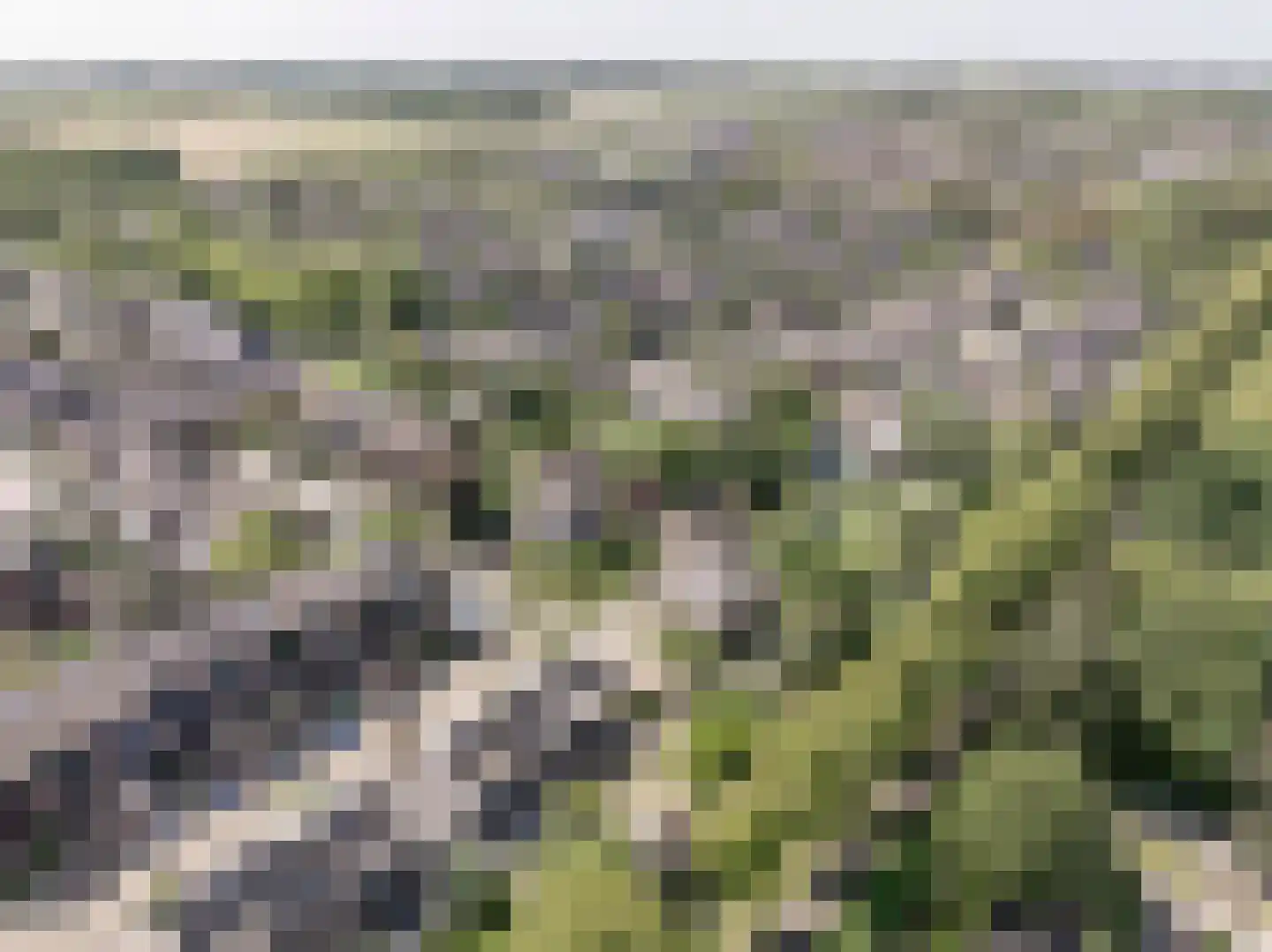 Terborchdreef 22 Oud-Beijerland thumbnail 61