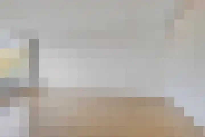 Terborchlaan 125 Alkmaar thumbnail 11