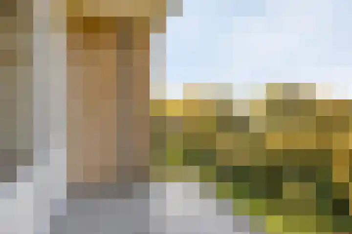 Terborchlaan 125 Alkmaar thumbnail 14