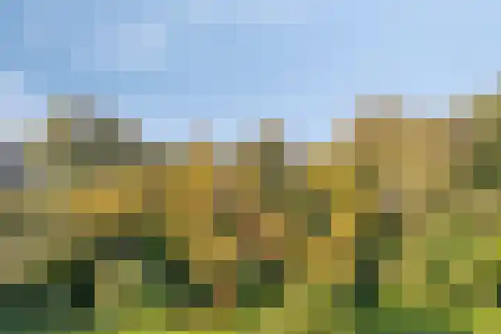 Terborchlaan 125 Alkmaar thumbnail 15