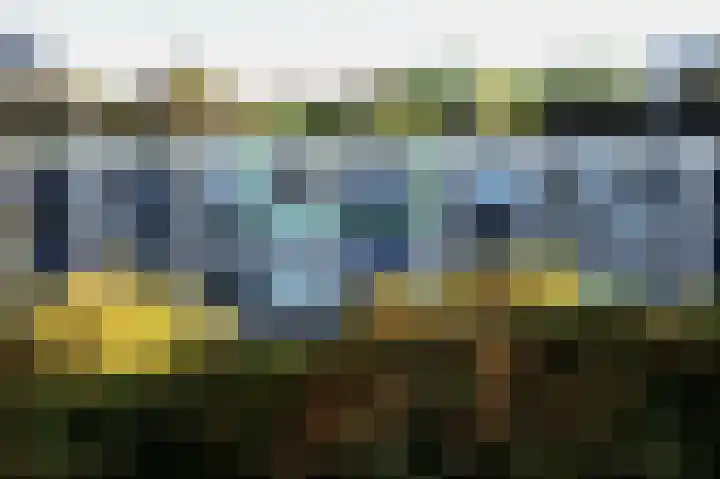 Terborchlaan 125 Alkmaar thumbnail 16