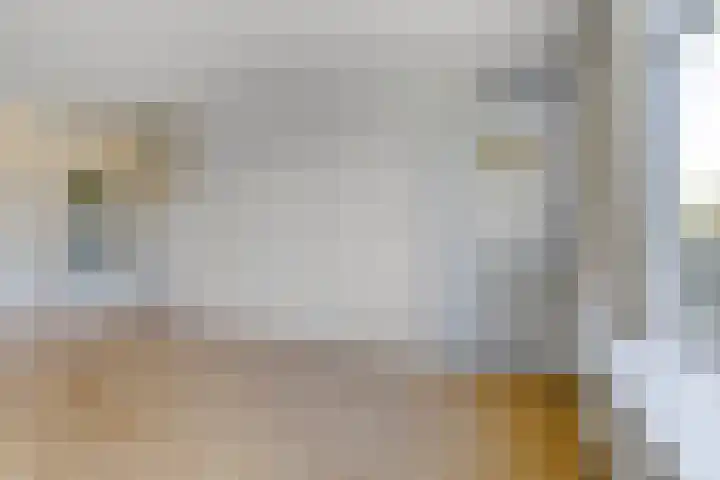 Terborchlaan 125 Alkmaar thumbnail 17