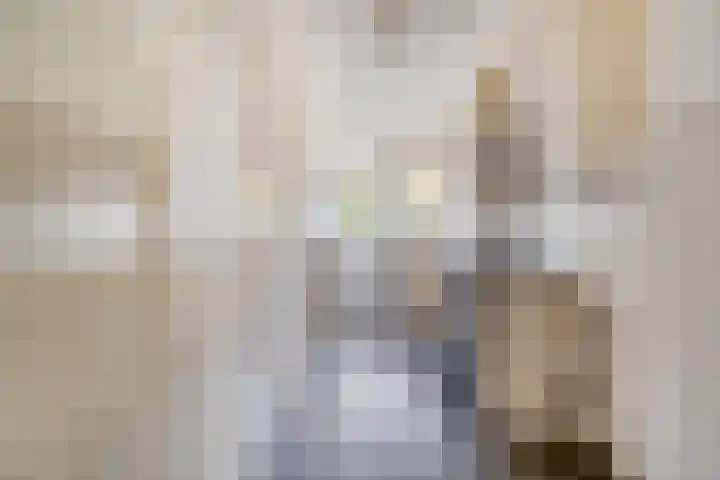 Terborchlaan 125 Alkmaar thumbnail 26
