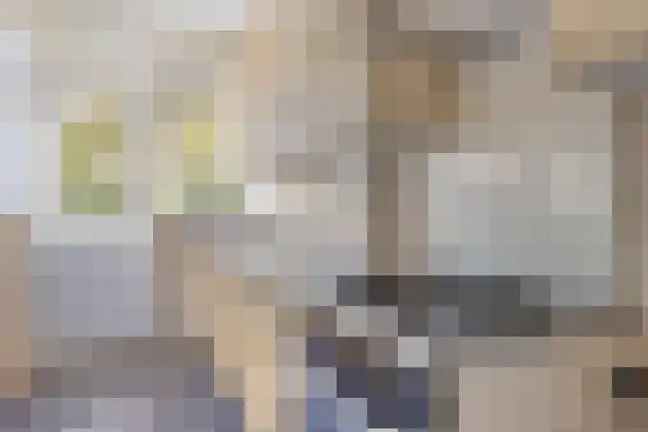 Terborchlaan 125 Alkmaar thumbnail 27