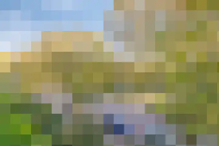 Terborchlaan 125 Alkmaar thumbnail 29