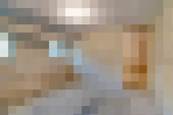 Terborchlaan 125 Alkmaar thumbnail 35