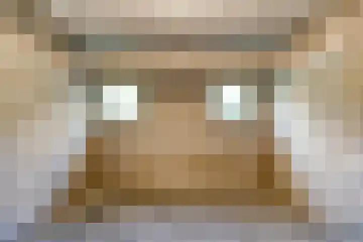 Terborchlaan 125 Alkmaar thumbnail 36