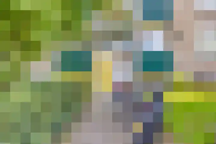 Terborchlaan 125 Alkmaar thumbnail 39
