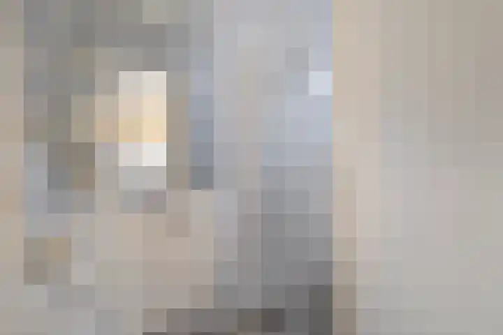 Terborchlaan 125 Alkmaar thumbnail 4