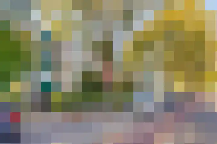 Terborchlaan 125 Alkmaar thumbnail 40