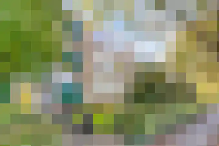 Terborchlaan 125 Alkmaar thumbnail 5