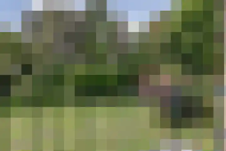 Terborchlaan 127 Alkmaar thumbnail 10